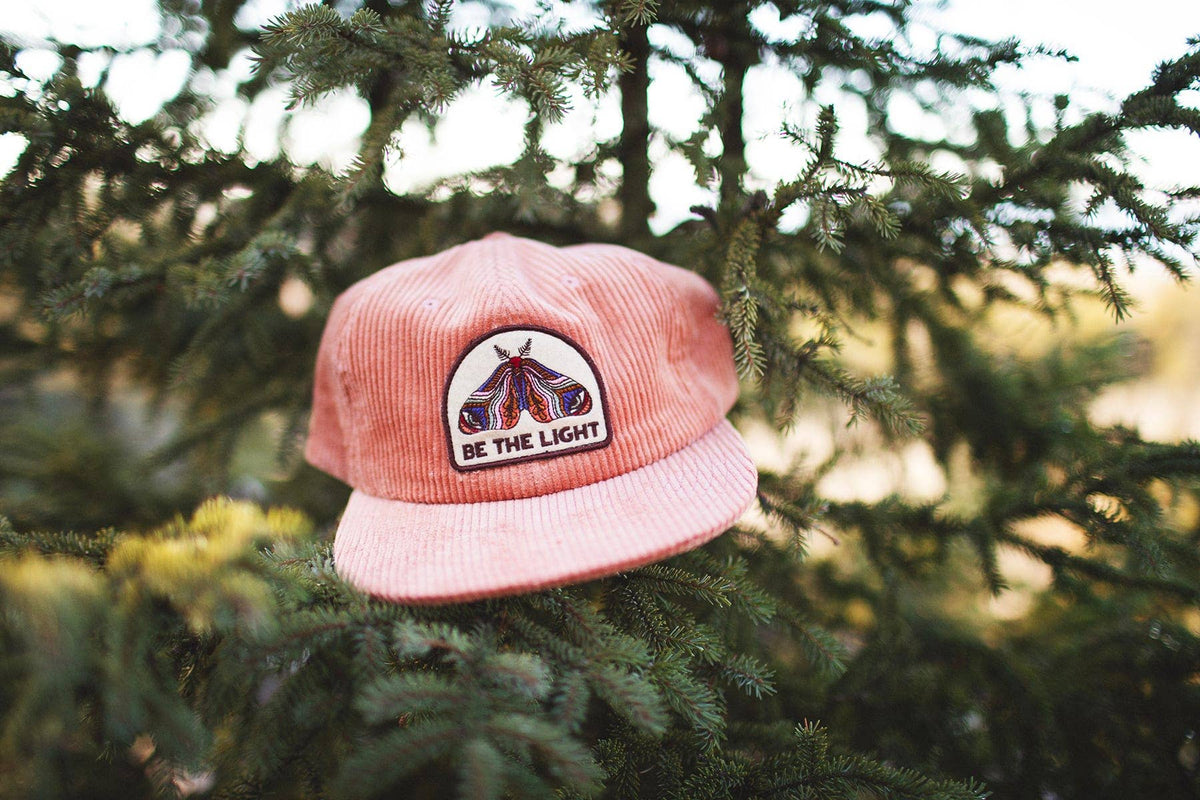 Be The Light salmon pink corduroy cap propped on a pine bough