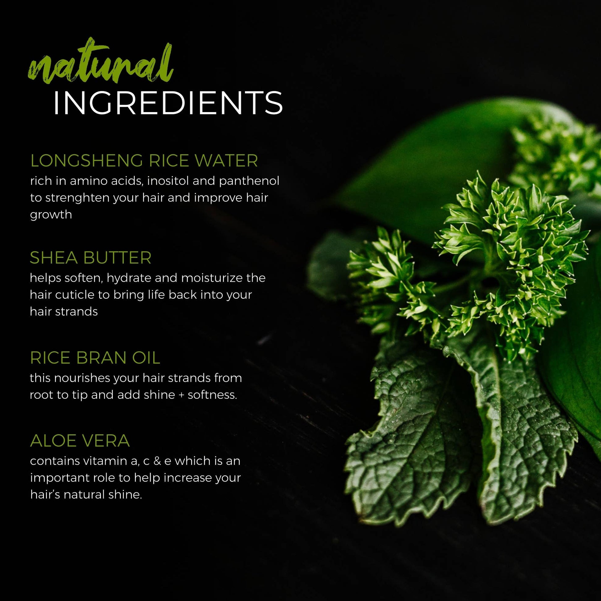 Rice water shampoo bar with tea tree and mint essential oils | Salon-Selected | The Pixie Garden