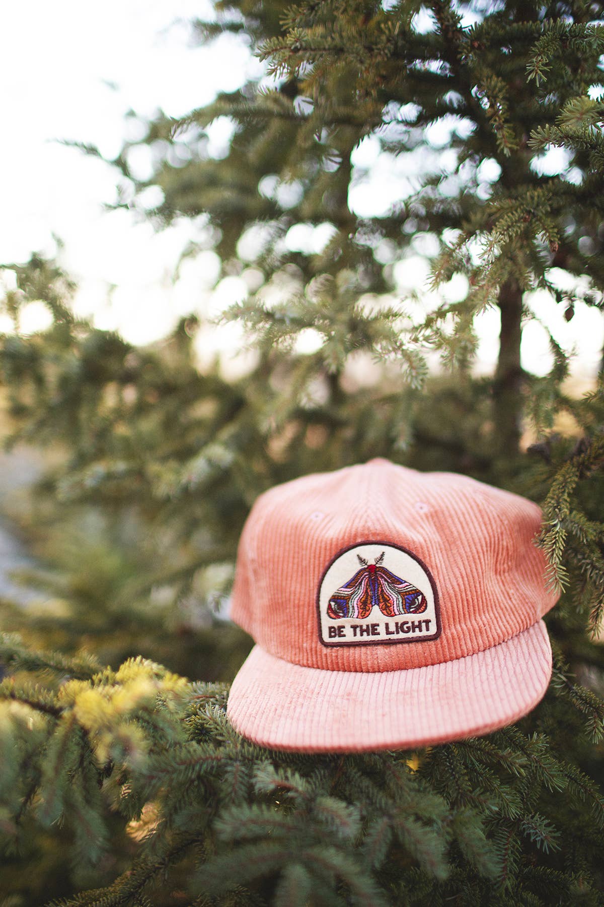Be The Light salmon pink corduroy cap resting on pine branches