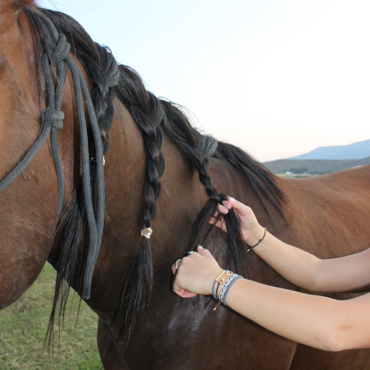 "Gallop" Horse & Bit Equestrian Accents in Rich Brown & Blue Hair Tie Bracelets: Small